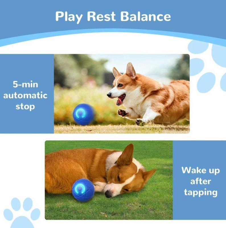 Pawzioo ✨2025 New Release - Pet Bounce Ball for Cats🐱 & Dogs🐶