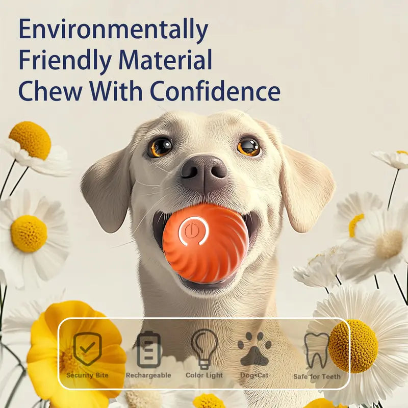 Pawzioo ✨2025 New Release - Pet Bounce Ball for Cats🐱 & Dogs🐶