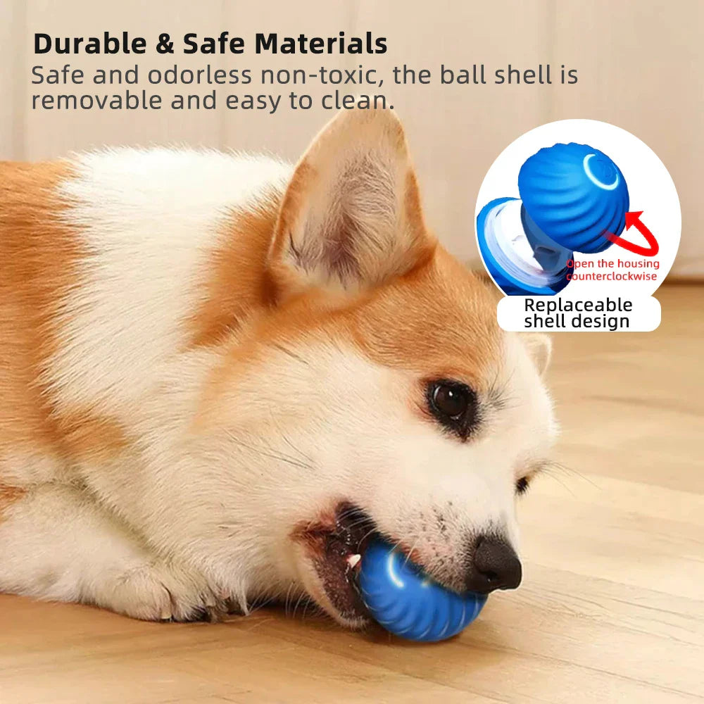 Pawzioo ✨2025 New Release - Pet Bounce Ball for Cats🐱 & Dogs🐶