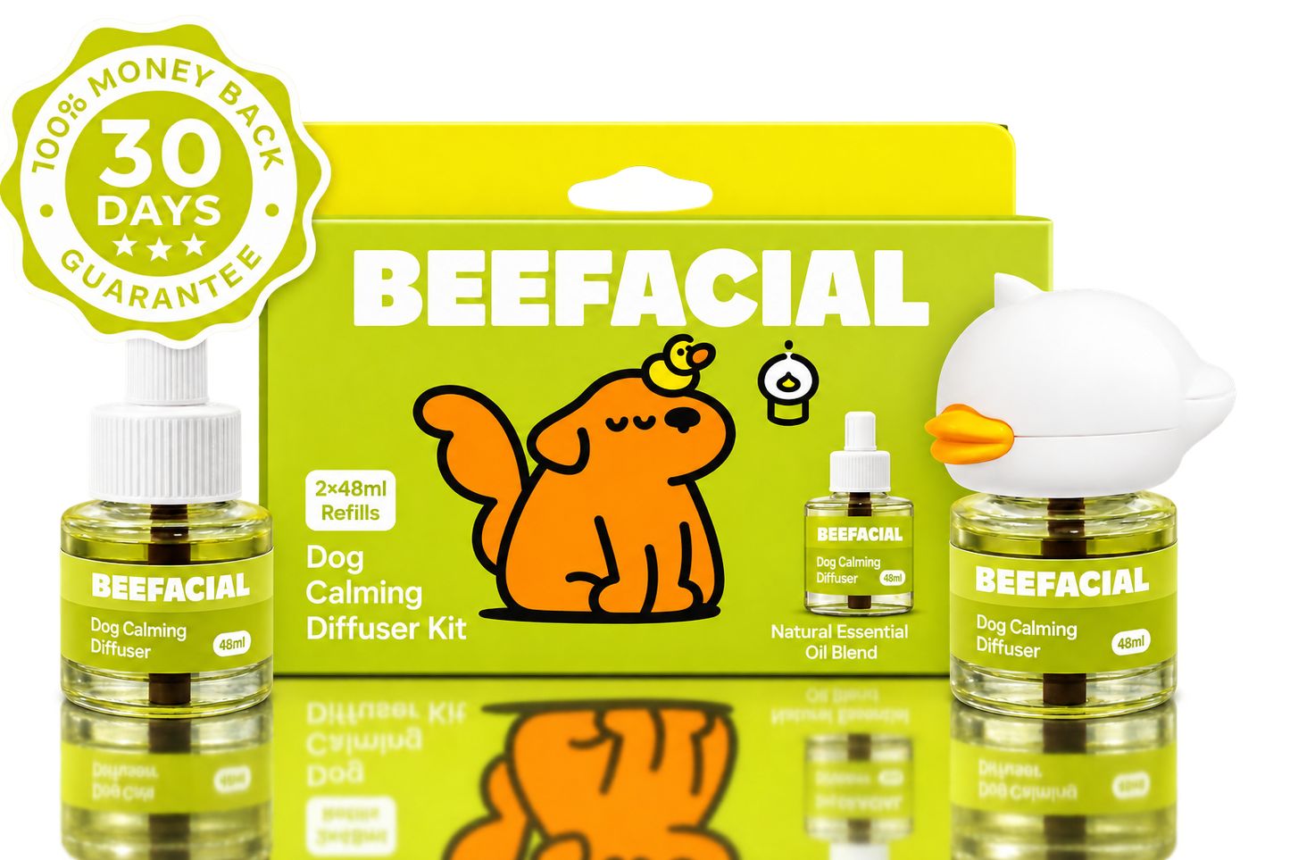 Help your anxious dog feel safe and calm