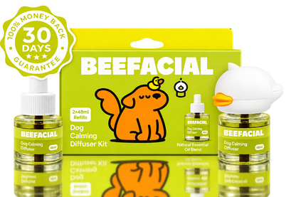 Help your anxious dog feel safe and calm