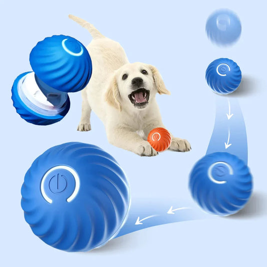 Pawzioo ✨2025 New Release - Pet Bounce Ball for Cats🐱 & Dogs🐶