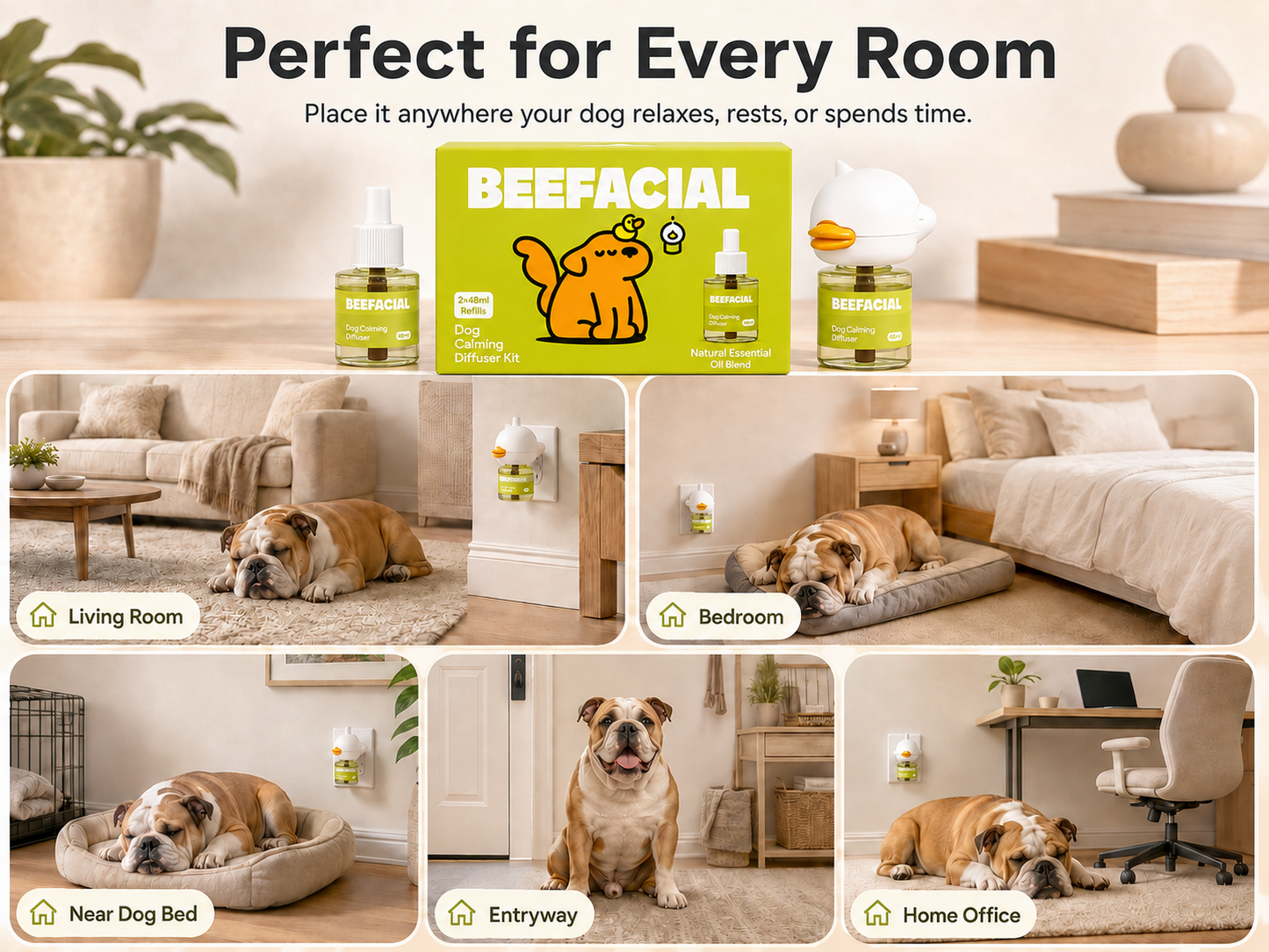 Help your anxious dog feel safe and calm